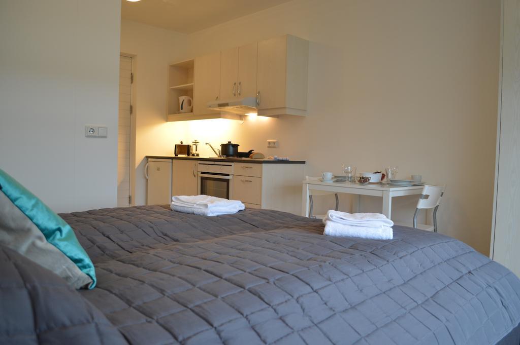 Borg Apartments Hvolsvollur Phòng bức ảnh